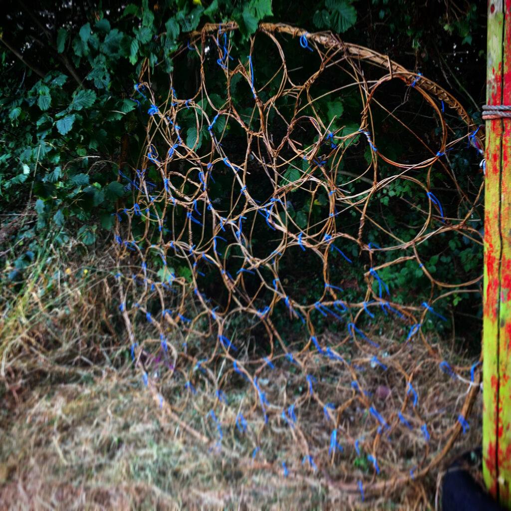 Interlinked willow circles further woven with wool form a friendship hoop created by the children in Paignton with Weird Sticks