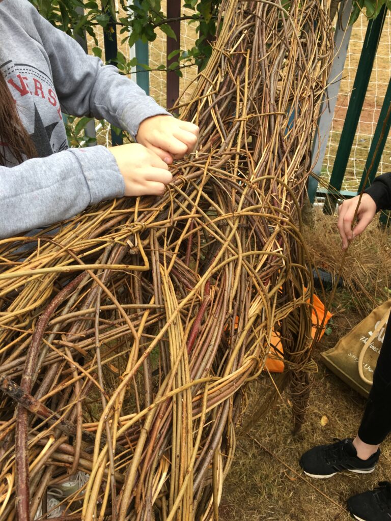 Young people in Brixham weaving the stag sculpture with willow with Weird Sticks