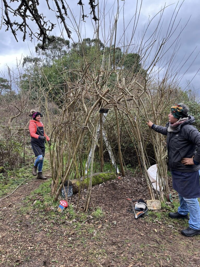 Vik and Hannah from Weird Sticks tidying up a live willow dome