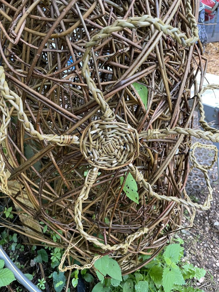 Willow Echinoderm created with Weirds at Play Torbay for the Geopark Archway